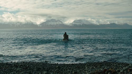 Von Menschen und Pferden Bild 1