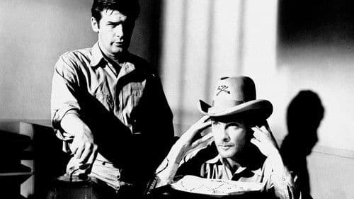 Schock-Korridor Bild 7