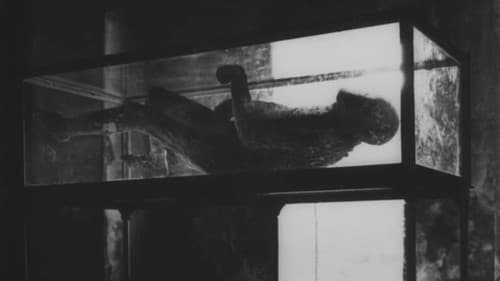 Si j'avais quatre dromadaires Bild 4