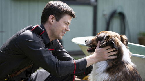 Rettungshund Ruby Bild 3