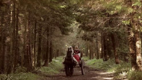 Paladin - Die Krone des Königs Bild 6