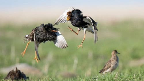 Planet der Liebe Bild 3