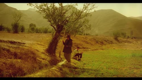 Derakhte Golabi Bild 6