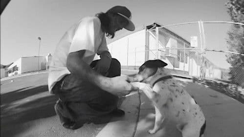 Mystery - Black & White Bild 1