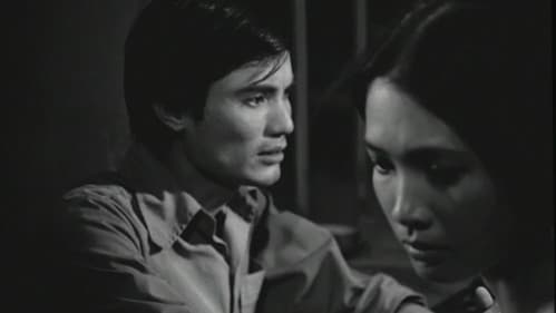 Bao giờ cho đến tháng Mười Bild 5