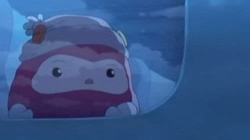 Traveling Daru Bild 7