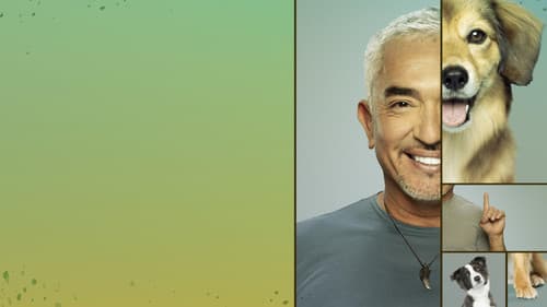 Cesar Millan: Guter Mensch guter Hund Bild 3