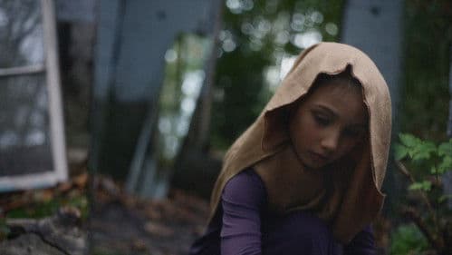 Pieces Within Bild 2