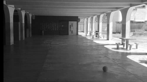 Os Sonhos da Gente Bild 1