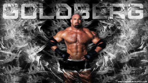 WWE: Goldberg - The Ultimate Collection Bild 1