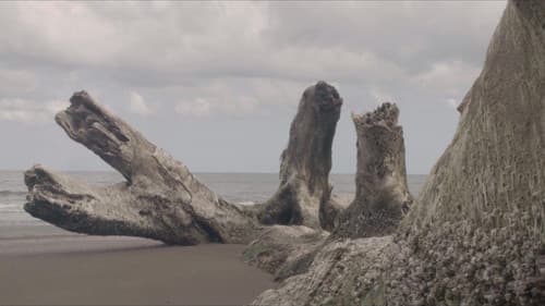 Saved From The Waters Bild 2