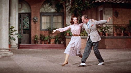 Seidenstrümpfe Bild 4