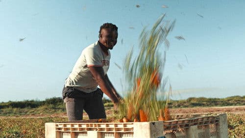 One Day One Day Bild 8