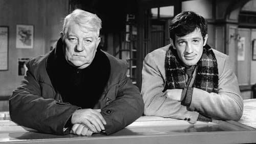 Ein Affe im Winter Bild 1