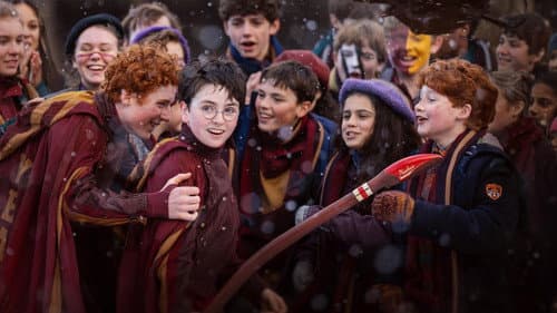 Finding Harry - Die Kunst hinter der Magie Bild 3