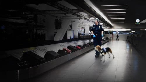 Schmugglern auf der Spur Bild 2