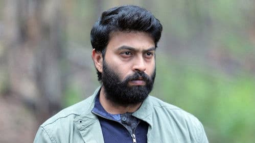 பெண்குயின் Bild 8