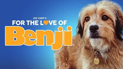 Benji in Gefahr Bild 2