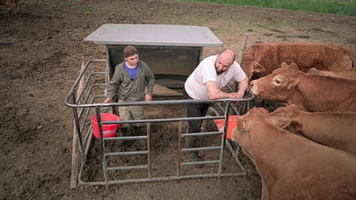 Rural Bild 8