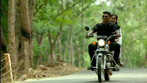 கட்ஸ் Bild 1