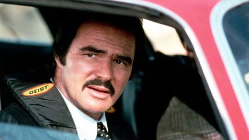 Um Kopf und Kragen Bild 2