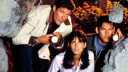 Baywatch Nights Bild 3