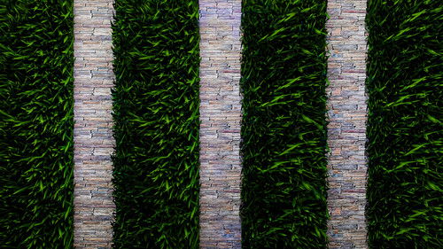 The Elle Duncan Show Bild 1