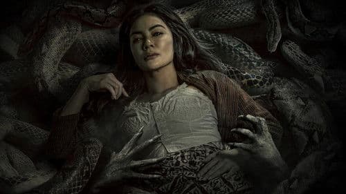 Paku Tanah Jawa Bild 1