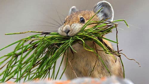 Magie der Jahreszeiten Bild 2