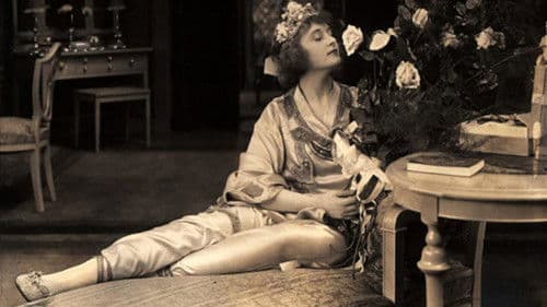 In Pursuit of Polly Bild 1