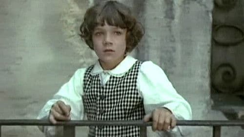 Удивительный мальчик Bild 1