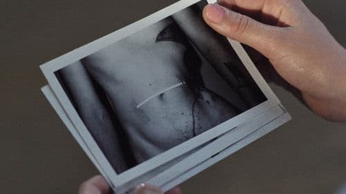 Die Lieblosen Bild 8