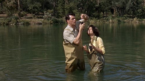 Ein Goldfisch an der Leine Bild 8