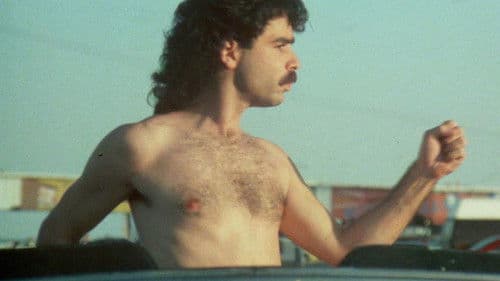 American Streetfighter Bild 7