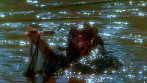 Creepshow 2 Bild 4