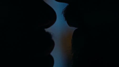 Never My Love Bild 1