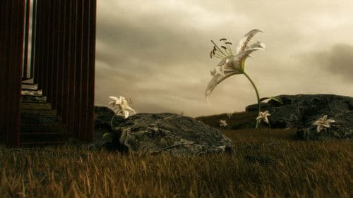 Deaf to Happiness Bild 4