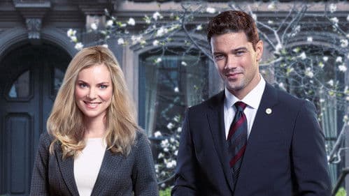 Unleashing Mr. Darcy Bild 1