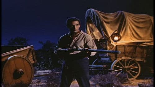 Donner in der Sonne Bild 3