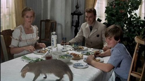 Рикки-Тикки-Тави Bild 1