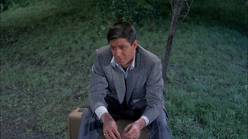 Fünf auf einen Streich Bild 7