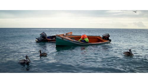 DOUBOUT OUBIEN MÔ Bild 1