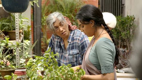 Lebe deine Träume - Laiv Sapane Bild 6