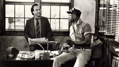 Der Prinzipal Bild 1