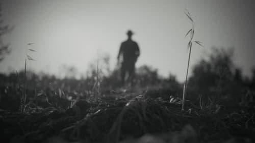 Rotting In The... Summer Bild 8