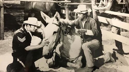 Die siegreichen Drei Bild 2