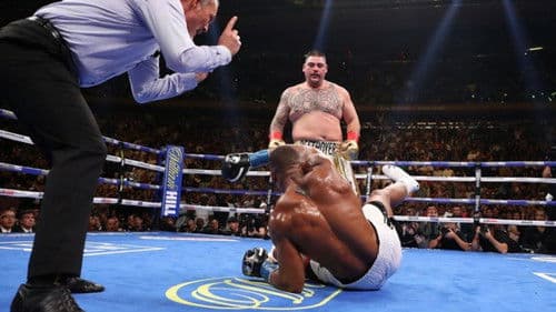 One Night: Joshua vs. Ruiz Bild 5