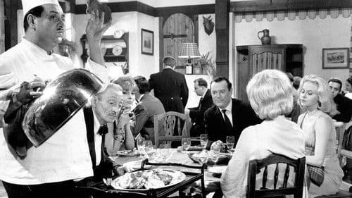 Eddie krault nur kesse Katzen Bild 1