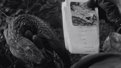 Electric Dragon 80.000 Volt Bild 7