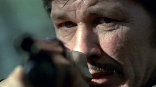 Brutale Stadt Bild 8